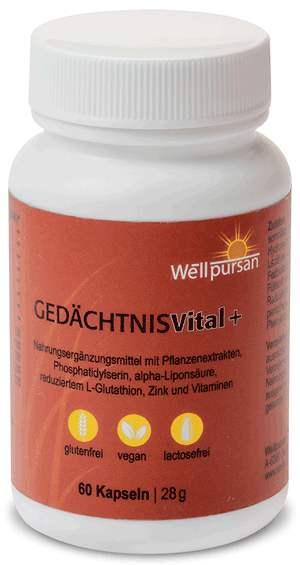 Gedächtnis Vital+