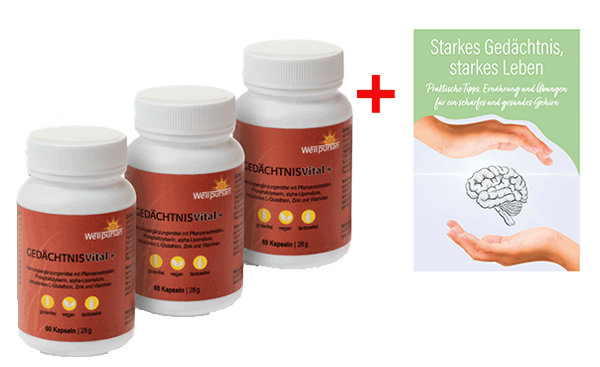 Gedächtnis Vital+